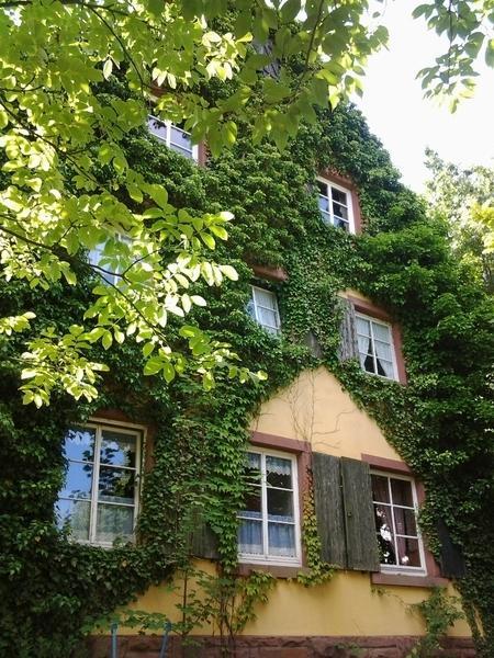 Gastehaus Zum Alten Schulhaus Hotel Miltenberg Quarto foto