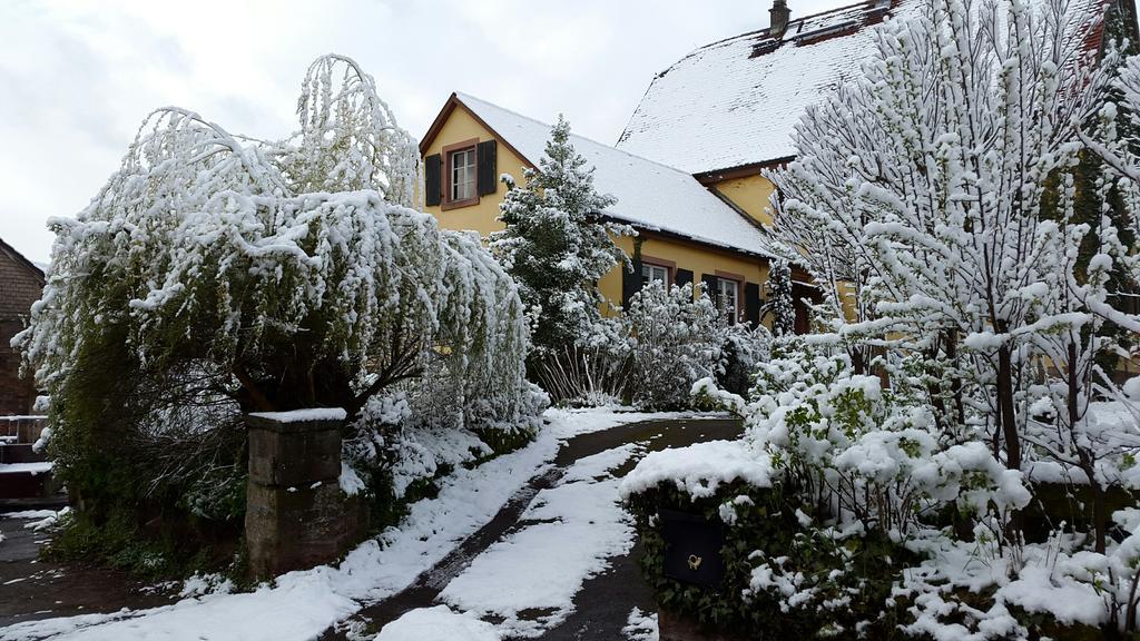 Gastehaus Zum Alten Schulhaus Hotel Miltenberg Exterior foto
